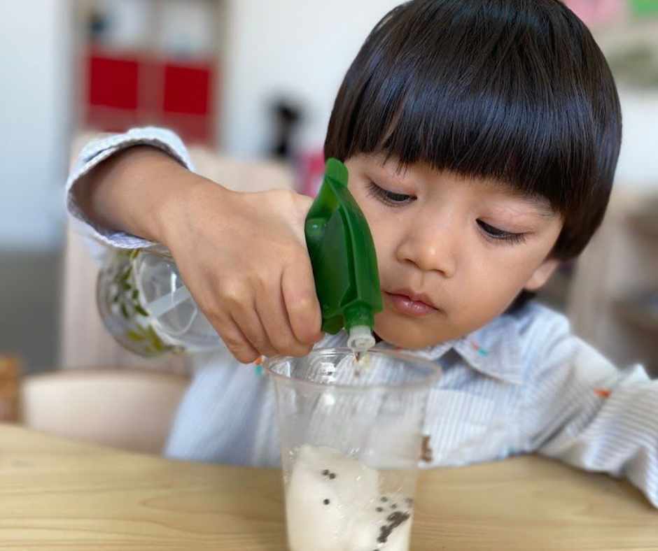 Diseno sin titulo 4 Dedicado a padres que quieren una mejor vida y educación para sus pequeños, todo empieza desde el primer mes de vida y en casa. Paso a Paso